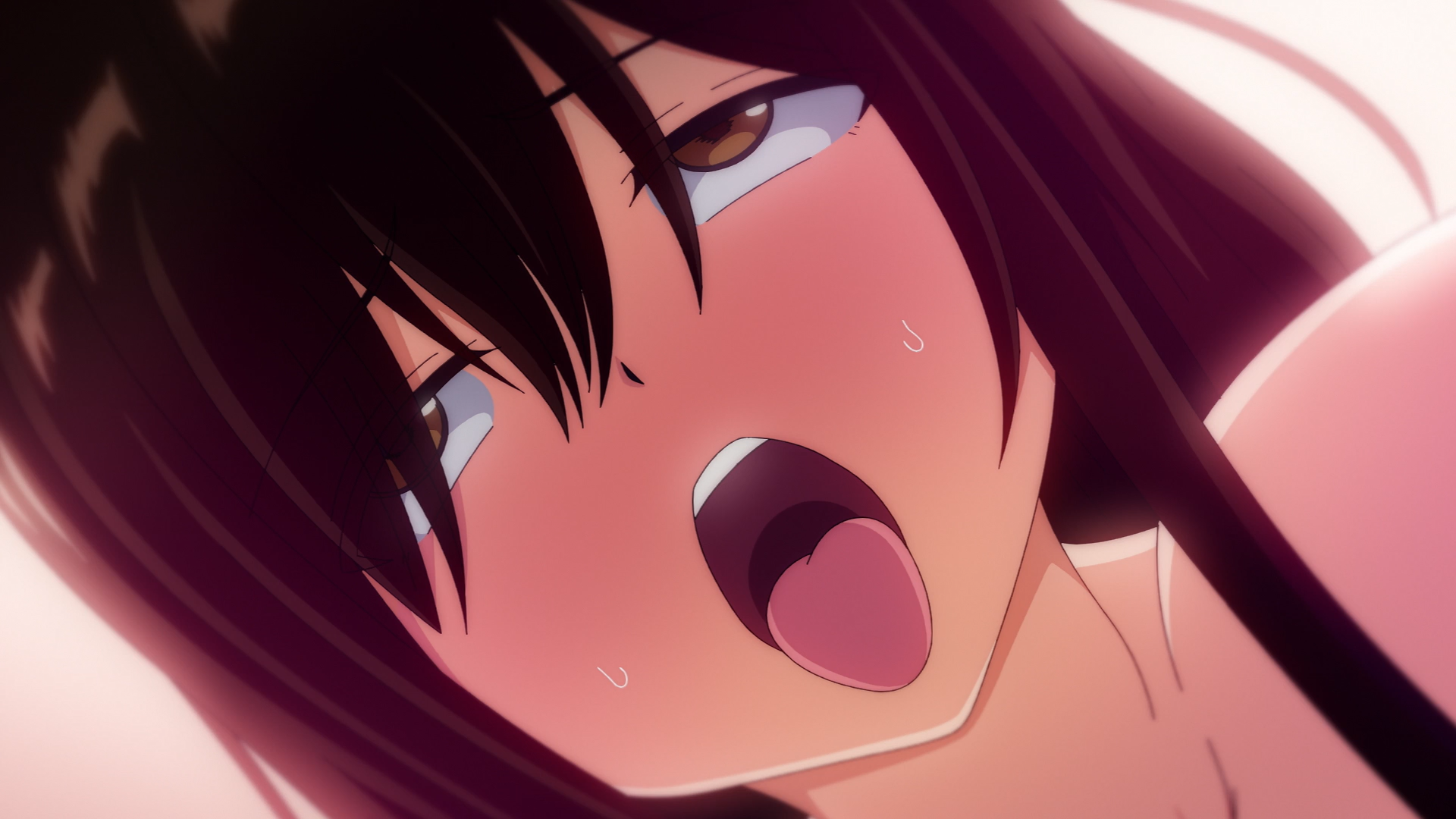 Oniisan Ohitori desu ka? (Otaku Tail No Fansub, AniMugen Fansub)